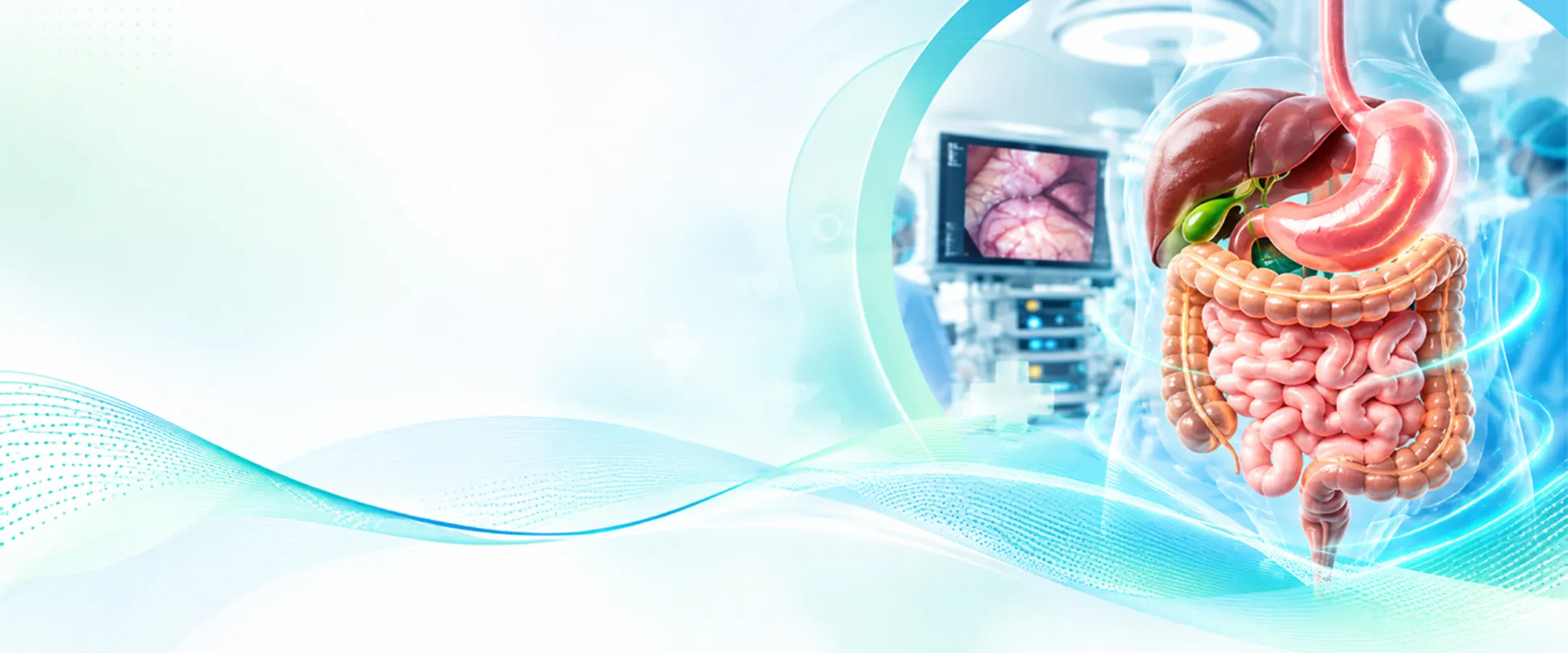 3D digestive system with laparoscopic surgery monitor