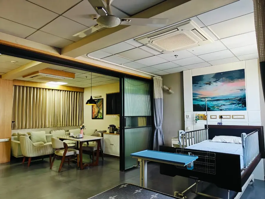 Patient bed area in the VIP suite at Pluto Hospital